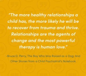 Neurosequential Model of Therapeutics - Ampersand Families